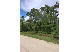 16026 SHELDRAKE LOOP, BROOKSVILLE, FL 34614 - MLS#MFRTB8415849