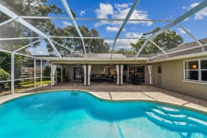 2724 CHALLENGER DRIVE, PALM HARBOR, FL 34683 - MLS#MFRTB8415860