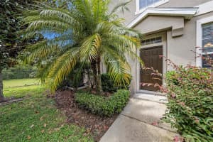 7618 RED MILL CIRCLE, NEW PORT RICHEY, FL 34653 - MLS#MFRTB8415878