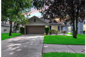 11249 RUNNING PINE DRIVE, RIVERVIEW, FL 33569 - MLS#MFRTB8415891