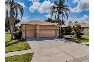 4401 Blantyre Pl, VALRICO