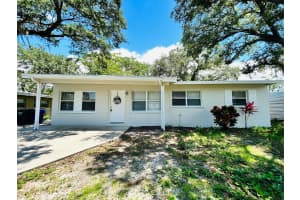 7506 MELALEUCA LANE, TAMPA, FL 33619 - MLS#MFRTB8415906