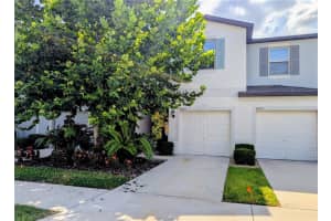 4505 Globe Thistle Dr, TAMPA