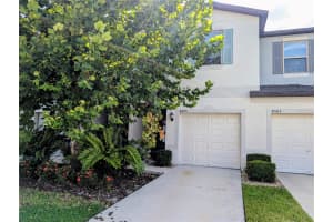 4505 GLOBE THISTLE DRIVE, TAMPA, FL 33619 - MLS#MFRTB8415935