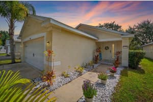 11310 Palm Island Ave, RIVERVIEW