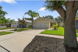 11310 PALM ISLAND AVENUE, RIVERVIEW, FL 33569 - MLS#MFRTB8415948