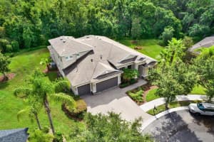 10015 HAZELNUT COURT, TAMPA, FL 33647 - MLS#MFRTB8415953