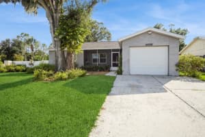 11513 Smokethorn Dr, RIVERVIEW