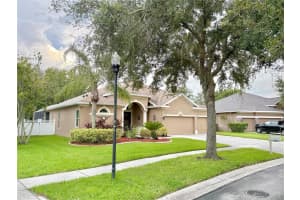 1405 Brilliant Cut Way, VALRICO