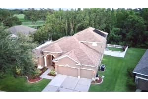 1405 BRILLIANT CUT WAY, VALRICO, FL 33594 - MLS#MFRTB8415973