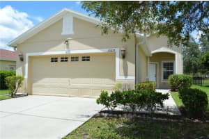 30619 White Bird Ave, WESLEY CHAPEL