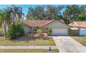 1623 CARTER OAKS DRIVE, VALRICO, FL 33596 - MLS#MFRTB8416005