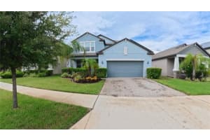 11314 Chilly Water Ct, RIVERVIEW