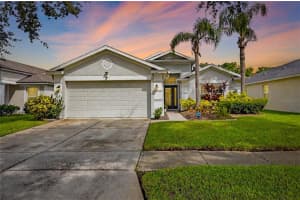 12414 CEDARFIELD DRIVE, RIVERVIEW, FL 33579 - MLS#MFRTB8416016
