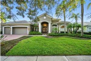 17210 Broadoak Dr, TAMPA