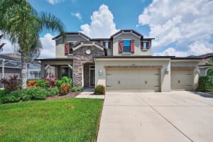 1120 MAZA PLACE, TRINITY, FL 34655 - MLS#MFRTB8416039