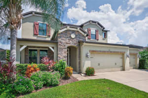 1120 MAZA PLACE, TRINITY, FL 34655 - MLS#MFRTB8416039
