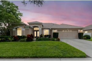 9617 9617 GREENBANK DRIVE, RIVERVIEW, FL 33569 - MLS#MFRTB8416061