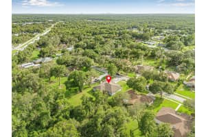 12221 ANNE KENIA DRIVE, THONOTOSASSA, FL 33592 - MLS#MFRTB8416071