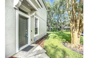 4915 BARNSTEAD DRIVE, RIVERVIEW, FL 33578 - MLS#MFRTB8416086