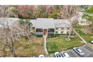 1354 SHADY PINE WAY, TARPON SPRINGS, FL 34688 - MLS#MFRTB8416125