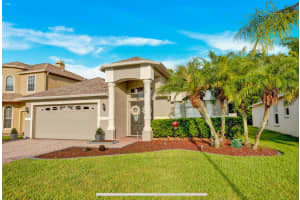 341 BAY ARBOR BOULEVARD, OLDSMAR, FL 34677 - MLS#MFRTB8416130