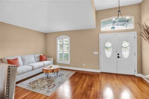 341 BAY ARBOR BOULEVARD, OLDSMAR, FL 34677 - MLS#MFRTB8416130
