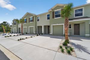 257 ROYAL SPOONBILL DRIVE, RUSKIN, FL 33570 - MLS#MFRTB8416131