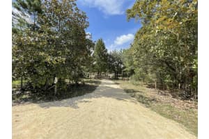 5529 W Stockholm Ln, DUNNELLON