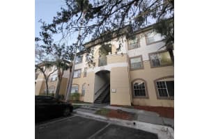 17102 Carrington Park Dr #313, TAMPA