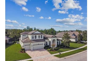 8319 SWISS CHARD CIRCLE, LAND O LAKES, FL 34637 - MLS#MFRTB8416164