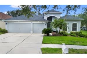 1414 Emerald Hill Way, VALRICO