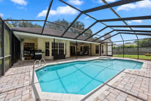15612 INDIAN QUEEN DRIVE, ODESSA, FL 33556 - MLS#MFRTB8416258