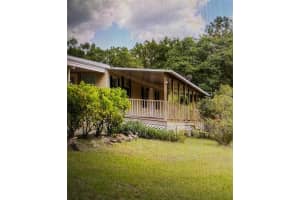 5510 GATOR COUNTRY, PLANT CITY, FL 33565 - MLS#MFRTB8416261