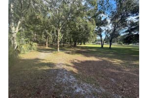 5510 GATOR COUNTRY, PLANT CITY, FL 33565 - MLS#MFRTB8416261