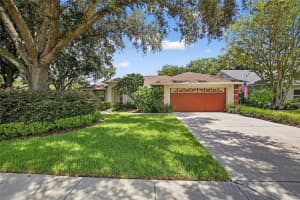 907 Clearcreek Dr, TAMPA