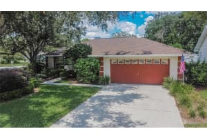 907 CLEARCREEK DRIVE, TAMPA, FL 33613 - MLS#MFRTB8416276