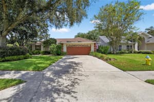 907 CLEARCREEK DRIVE, TAMPA, FL 33613 - MLS#MFRTB8416276