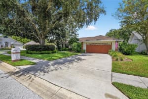 907 CLEARCREEK DRIVE, TAMPA, FL 33613 - MLS#MFRTB8416276