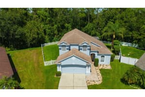 6411 Open Pasture Ct, WESLEY CHAPEL