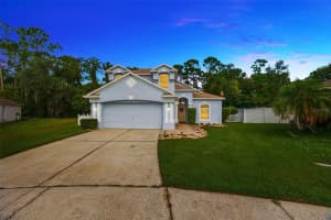6411 OPEN PASTURE COURT, WESLEY CHAPEL, FL 33545 - MLS#MFRTB8416292