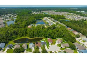 6411 OPEN PASTURE COURT, WESLEY CHAPEL, FL 33545 - MLS#MFRTB8416292