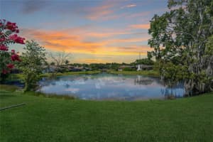778 CENTERWOOD DRIVE, TARPON SPRINGS, FL 34688 - MLS#MFRTB8416306