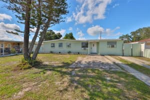 6918 Larmon St, TAMPA