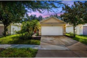 11931 Whisper Creek Dr, RIVERVIEW