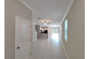 1548 CASSIUS STREET, LUTZ, FL 33549 - MLS#MFRTB8416342