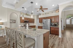 18107 DIAMOND COVE COURT, TAMPA, FL 33647 - MLS#MFRTB8416370