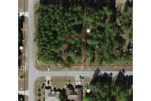6644 WATERMAN DRIVE, DUNNELLON, FL 34433 - MLS#MFRTB8416384