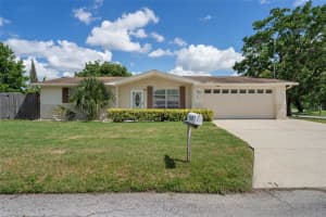 7317 Rhinebeck Dr, PORT RICHEY
