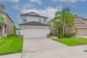 11320 Villas On The Green Dr, RIVERVIEW